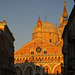 La Basilica di sant'Antonio - Padova