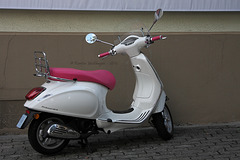 Moped mit Rosa