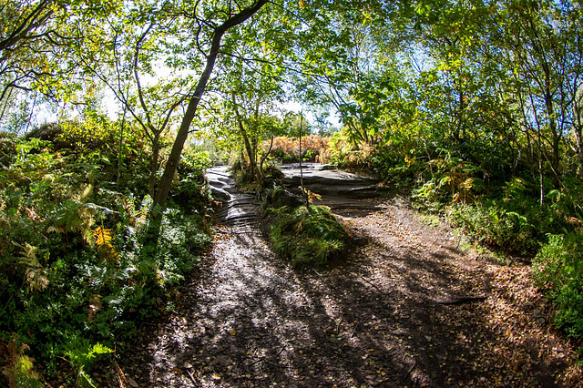 Thurstaston common18