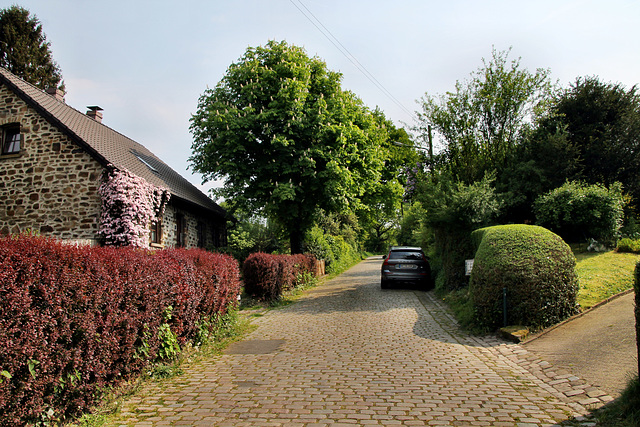 Berger Höfe (Bochum-Laer) / 7.05.2022