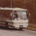 Percivals Motors/Abingdon Coaches 5615 RO on the A11 at Barton Mills – 31 Mar 1985 (13-28)