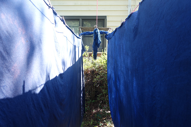 Indigo Dyeing