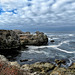 Point Lobos