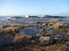 Moutmarka, spring tide