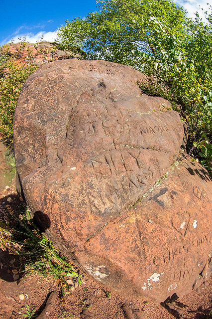 Thurstaston common19