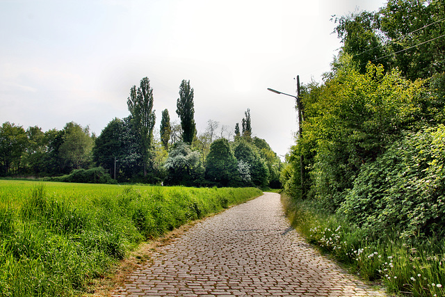 Berger Höfe (Bochum-Laer) / 7.05.2022