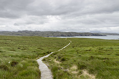 Handa Island - boardwalk