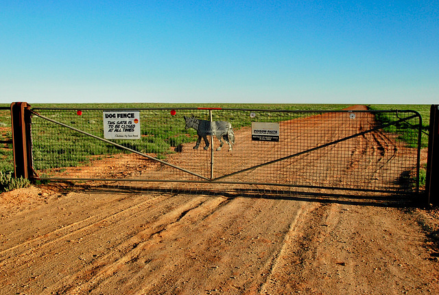 The Dog or Dingo Fence HFF