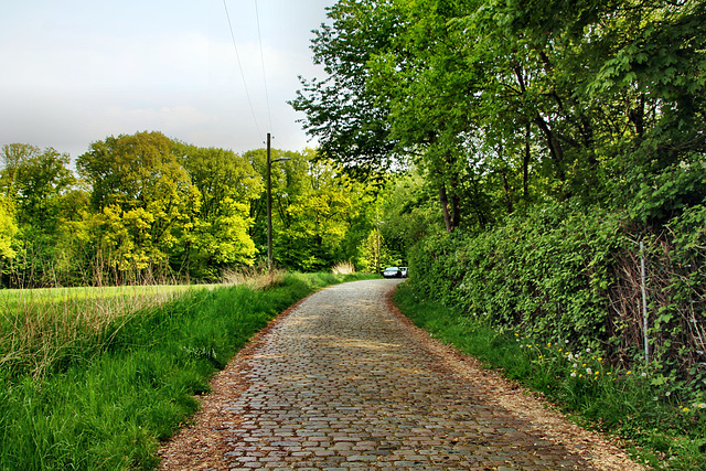 Berger Höfe (Bochum-Laer) / 7.05.2022