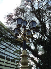 Arbre et lampadaire / Lampost and tree