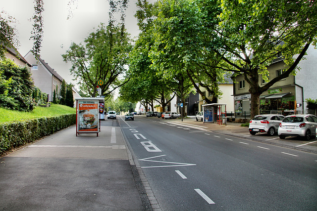 Wittener Straße (Dortmund-Dorstfeld) / 2.06.2018