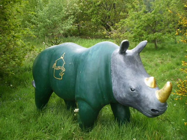 A peaceful rhinoceros.