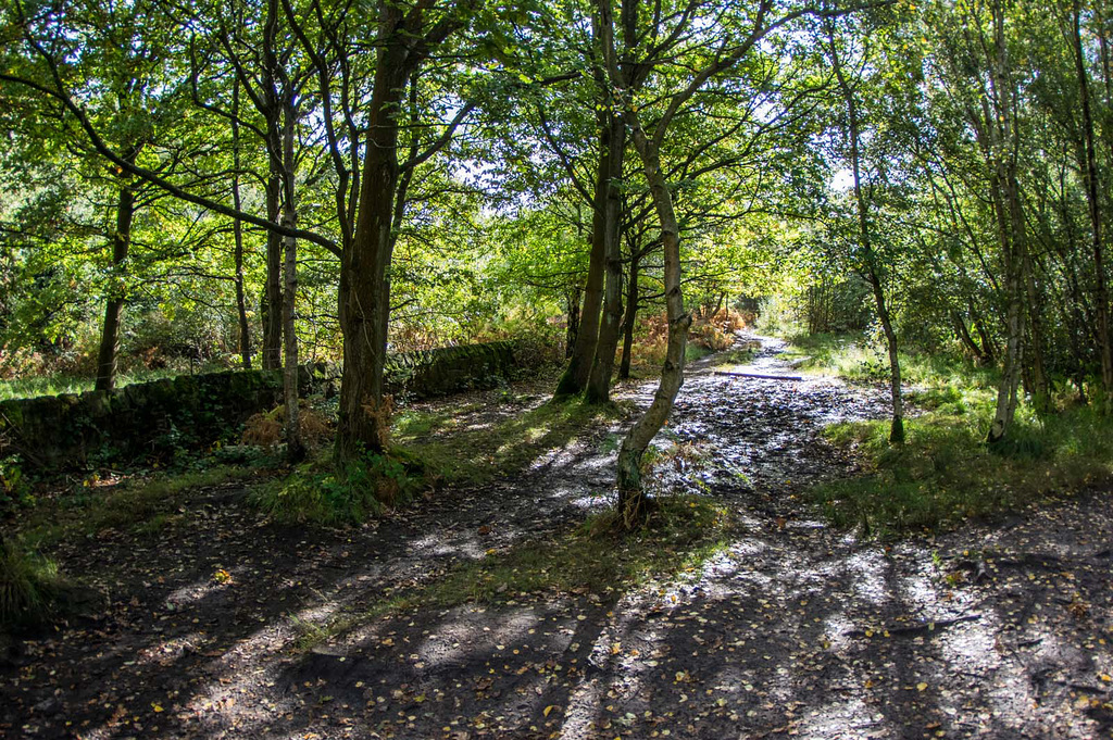 Thurstaston common21