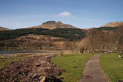 Detritus On Loch Long