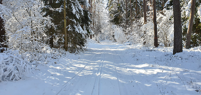 Winter Wanderung