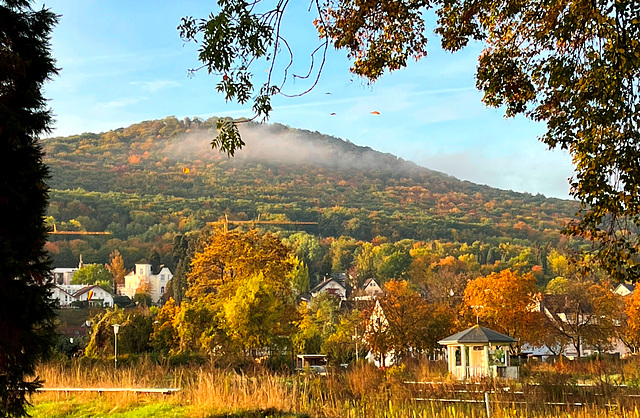 Herbstlicher Blick zum Neuenahrer Berg