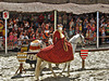 Medieval festival in Carcassonne with 2 PIPs