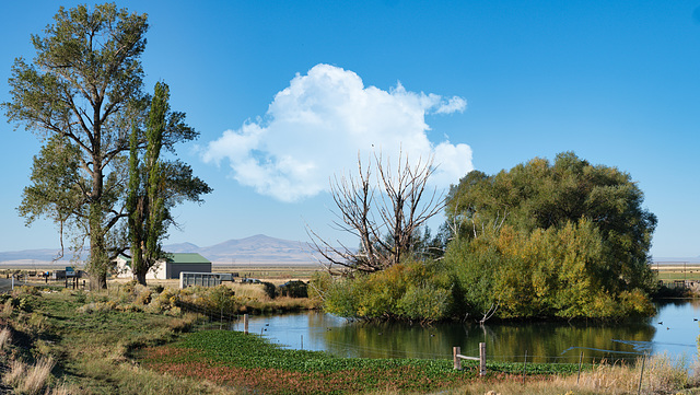 Roaring Springs Ranch, Catlow Valley