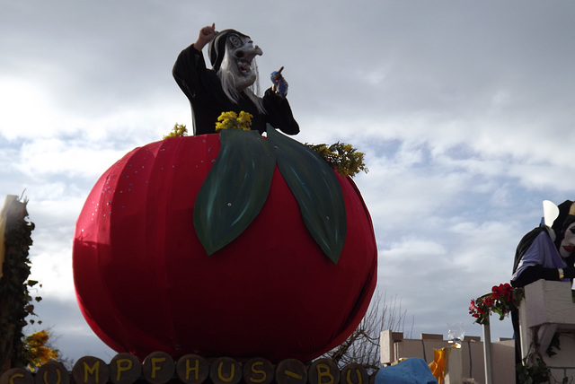 Carnaval Oltingue 2016 (181)