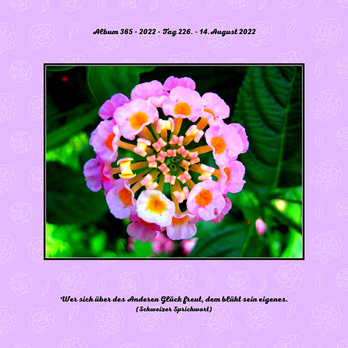Album 365 - 2022 - Tag 226. - 14.August 2022