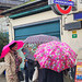 Les parapluies de Turnham Green