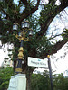 Lampadaire Sungai Kinta devant arbre majestueux