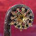 Whithorn Priory Museum