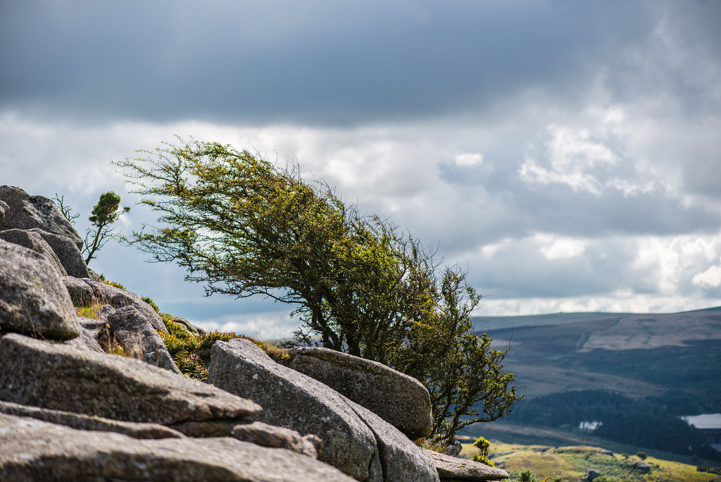 Dartmoor - 20150831