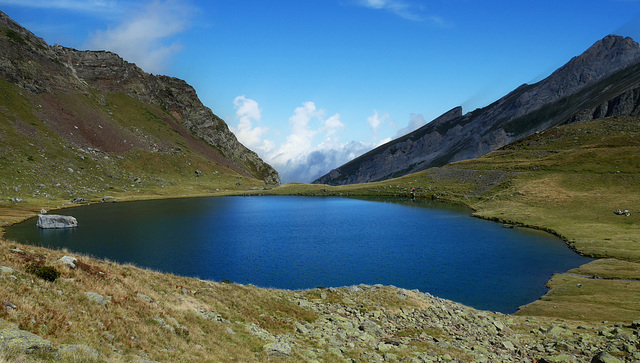 Un lac ? Des cygnes .