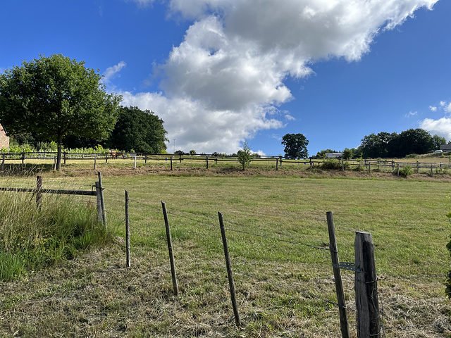 Landschaft mit Zäunen