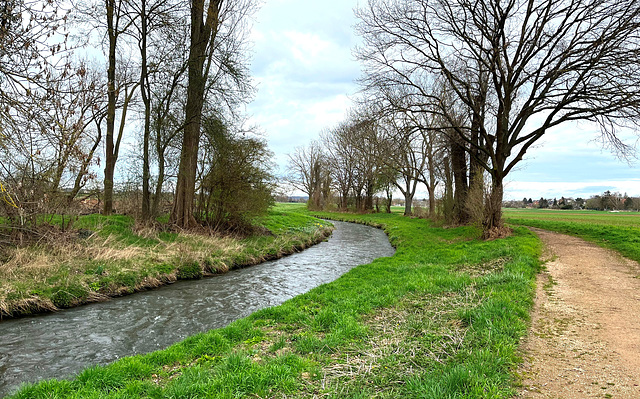 DE - Weilerswist - Am Ufer der Erft