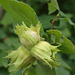 P6260634