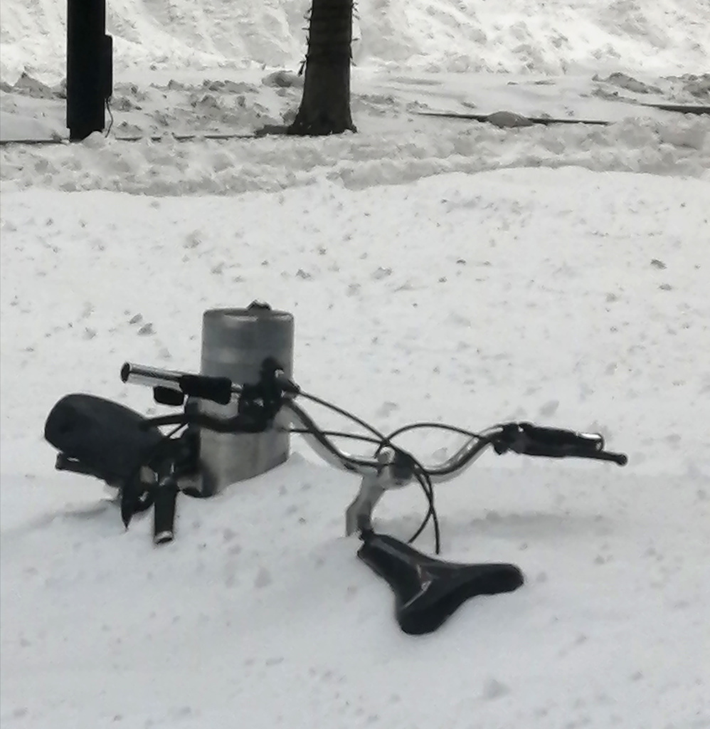 The aftermath. Bike after snow IMG 20250218 174821