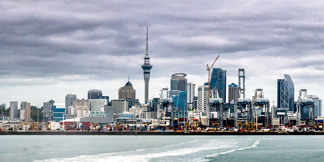 Auckland Skyline (2)