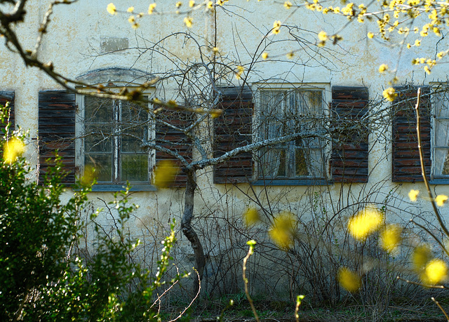 Fenster zum Hof. HWW