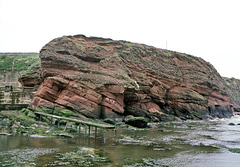 Old Red Sandstone cliffs, Whiting Ness, Arbroath, Scotland