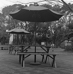 Parasols on a cloudy day