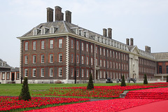Poppies At The Royal Hospital Chelsea