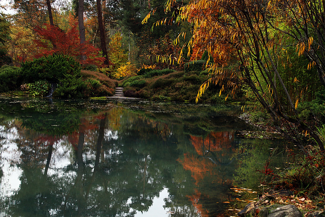 Voilà pourquoi j'aime autant l'automne .