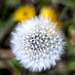 Blurry, but not in the center ;-)