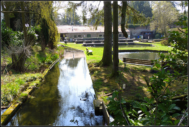 Trout Nursery-Benches Park  (HBM)