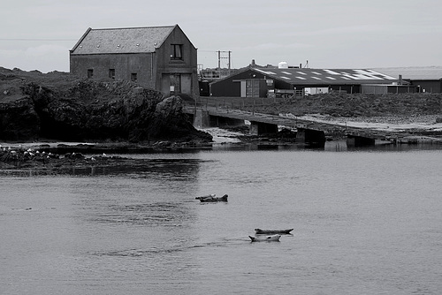 The old slipway