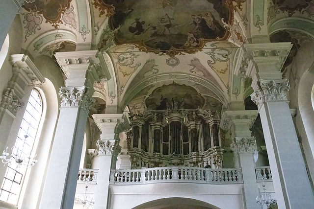 Amorbach 2018, St. Gangolf Kirche (Barockarchitektur)