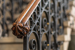 212-365, HFF liebe Fotofreunde ... 212-365, HFF liebe Fotofreunde ...