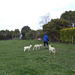 Jennifer and the lambs