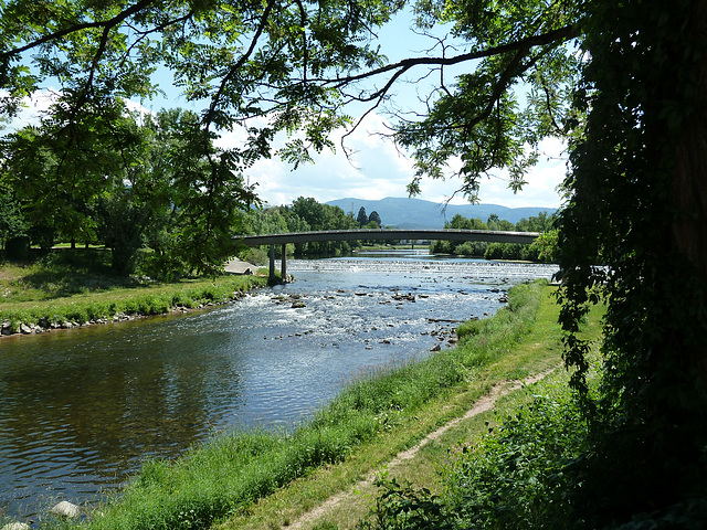 Frühling an der Murg bei Gaggenau