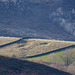 Long Clough nature reserve