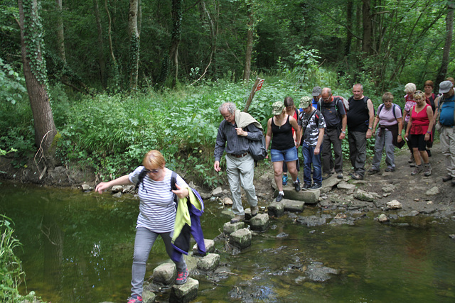 Randonnée Bombon-La Chapelle Gauthier-Bombon  - 20/06/2015