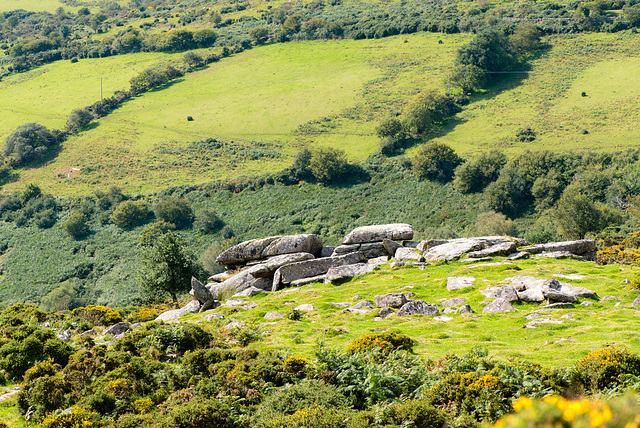 Dartmoor - 20150831