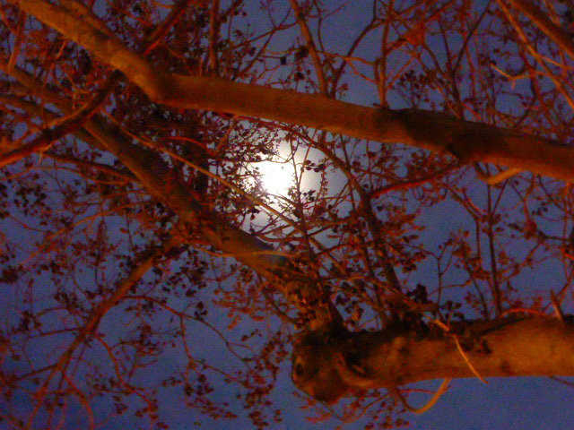 Luna al atardecer